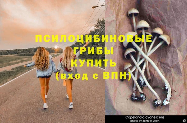 гашик Вязники