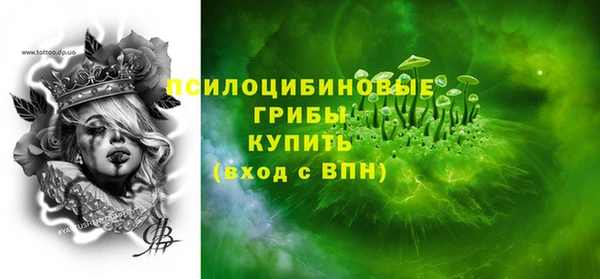 гашик Вязники